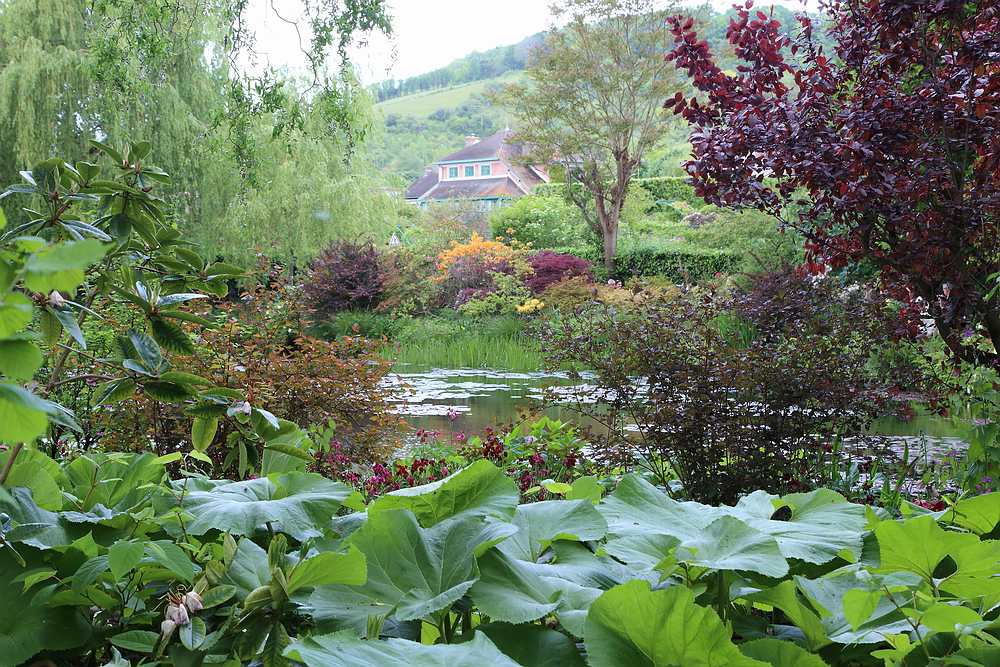 Giverny water garden